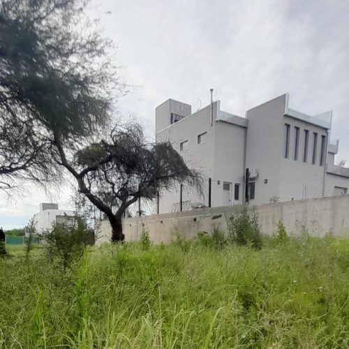 WhatsApp-Image-2024-11-07-at-16.18.45