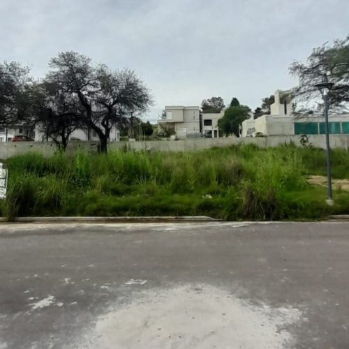 WhatsApp-Image-2024-11-07-at-16.18.46